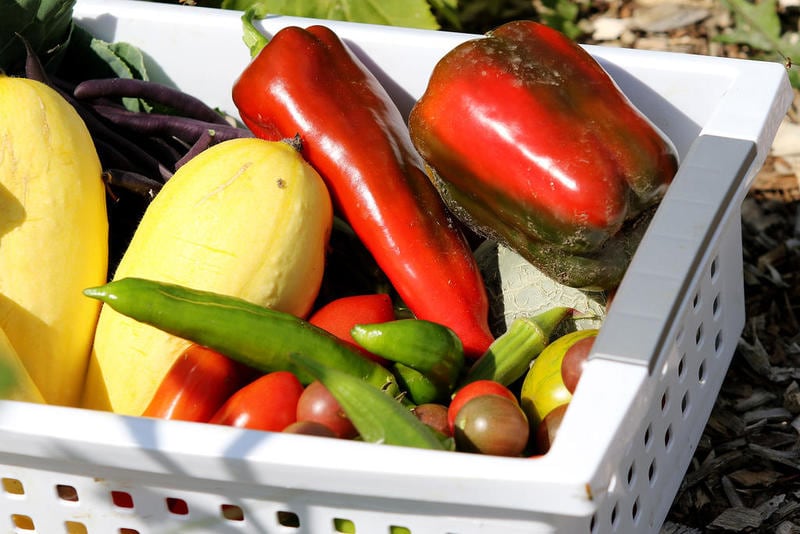 Rooted For Good lists November Grow Mobile dates — Downers Grove Community news