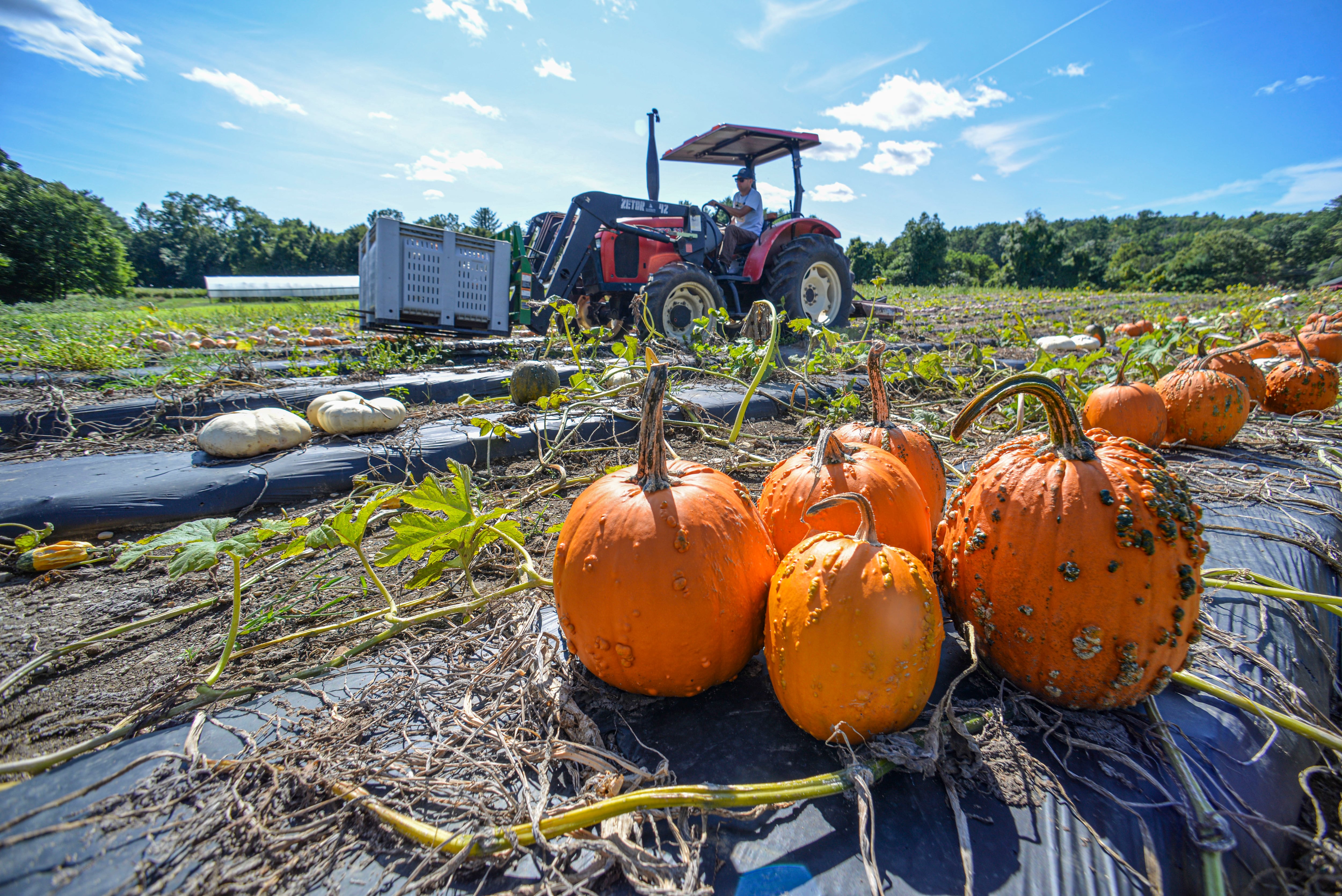 Breaking point: Rising costs grip ag economy — Downers Grove Arts news